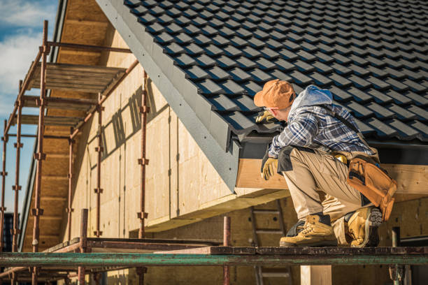 Best Sealant for Roof  in Maquoketa, IA