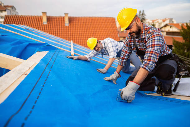 Quick and Trustworthy Emergency Roof Repair Services in Maquoketa, IA